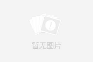 奥迪Q7 4.2 底盘功力解析